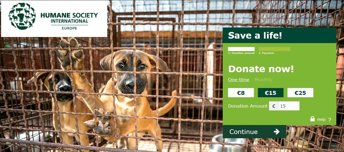 A Humane Society International Europe adományoldala, amit a pilot alatt használtunk